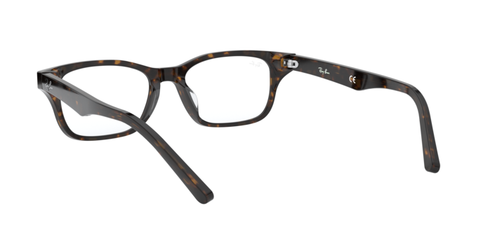 Ray-Ban RX5345D 2012