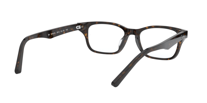 Ray-Ban RX5345D 2012