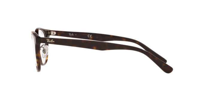 Ray-Ban RX5386D 2012