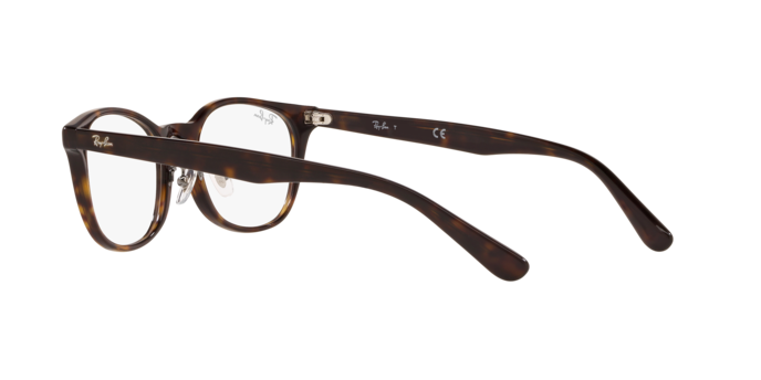 Ray-Ban RX5386D 2012