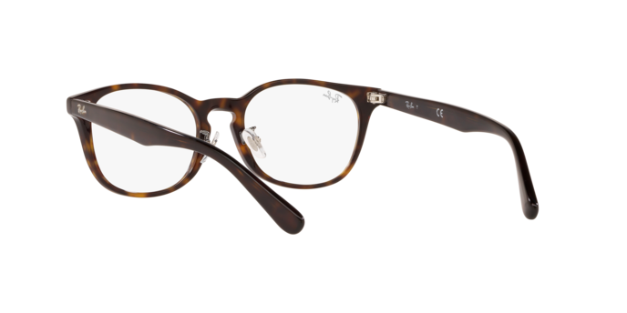 Ray-Ban RX5386D 2012