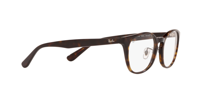 Ray-Ban RX5386D 2012