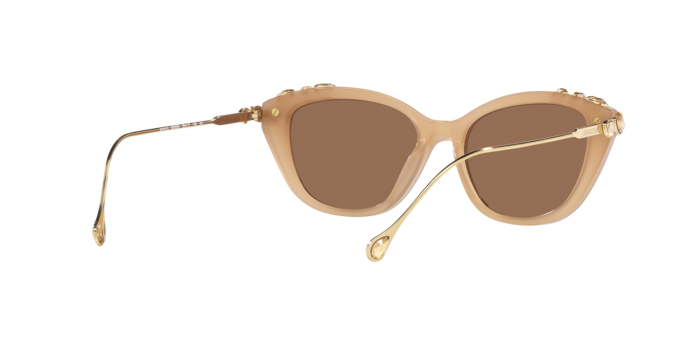 Swarovski SK6010 2002OK