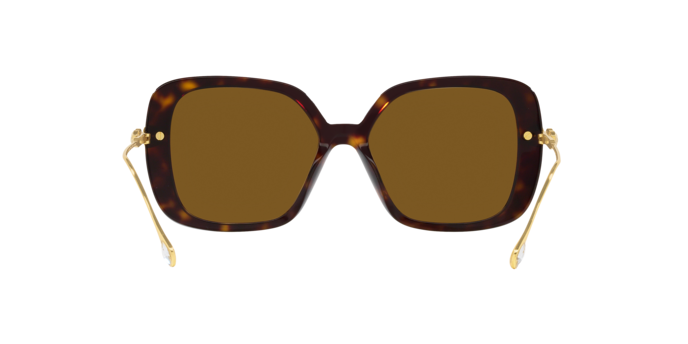 Swarovski SK6011 100283