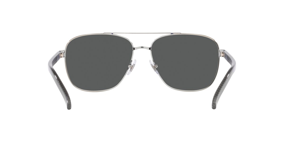 Arnette AN3087 WALVIS 755/81