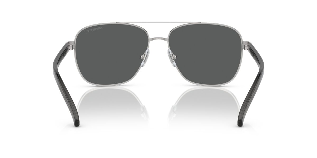 Arnette AN3087 WALVIS 755/81