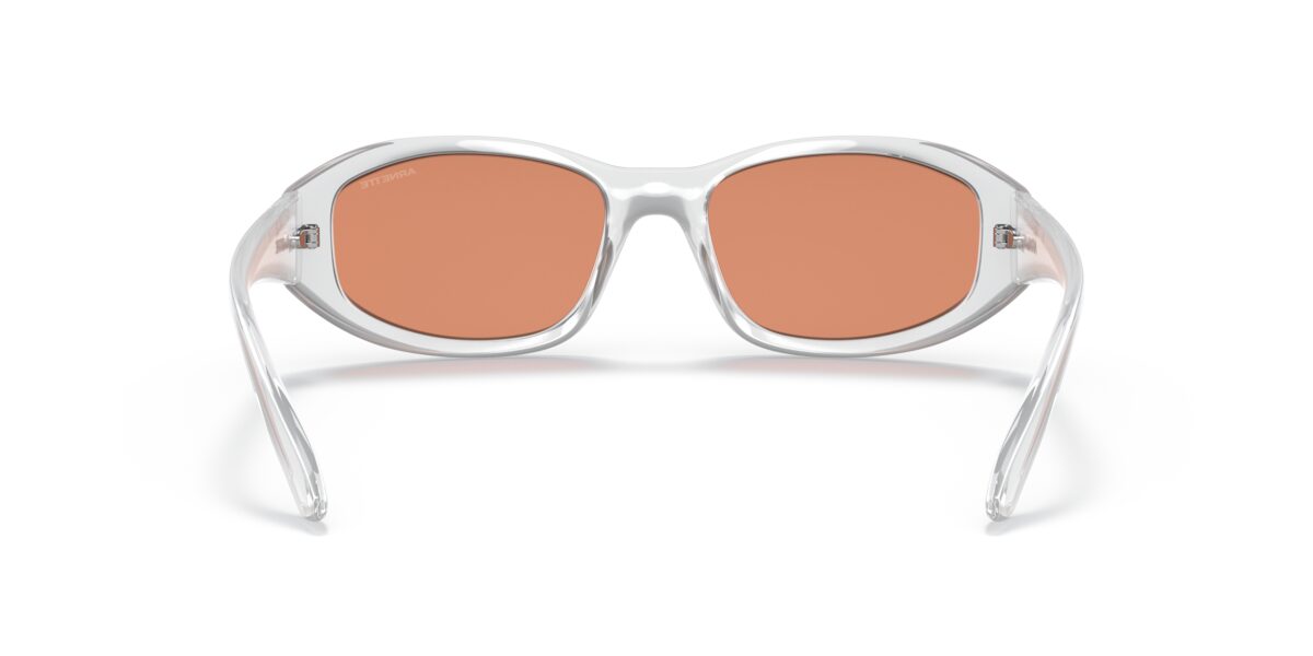 Arnette AN4266 LIZARD 2634C6