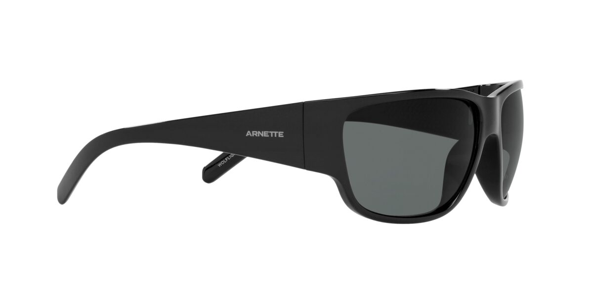 Arnette AN4280 WOLFLIGHT 41/81