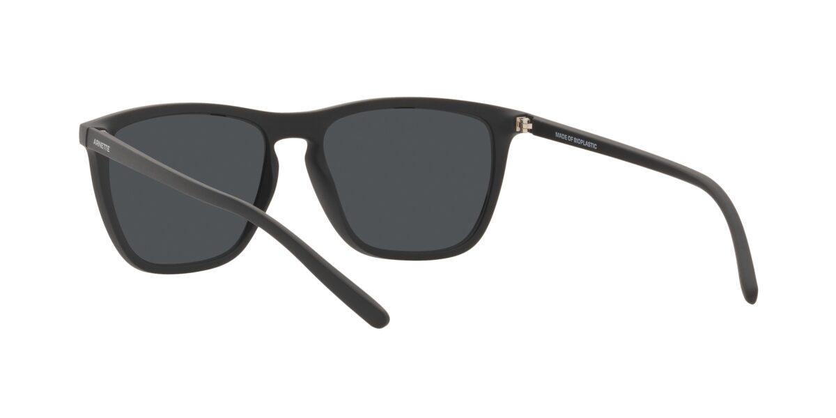 Arnette AN4301 FRY 275887