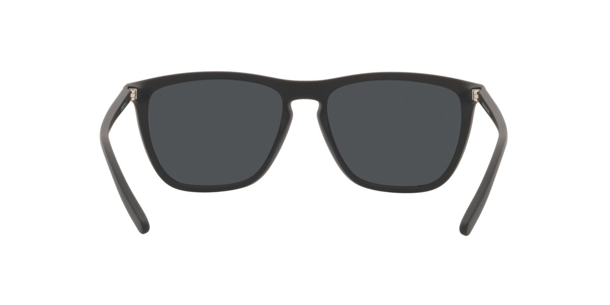 Arnette AN4301 FRY 275887