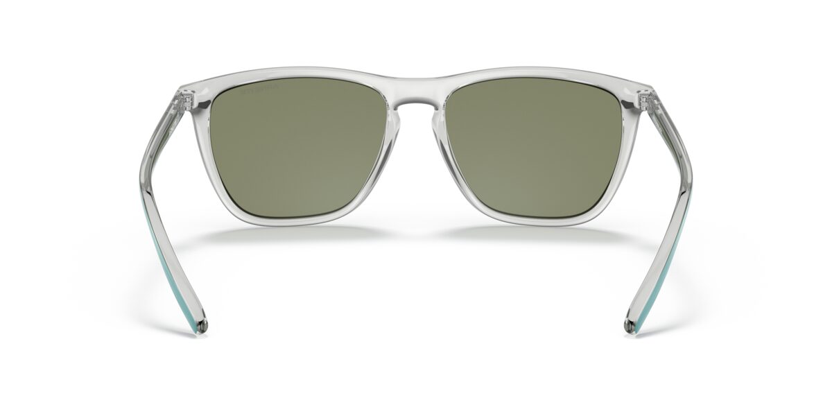Arnette AN4301 FRY 279825