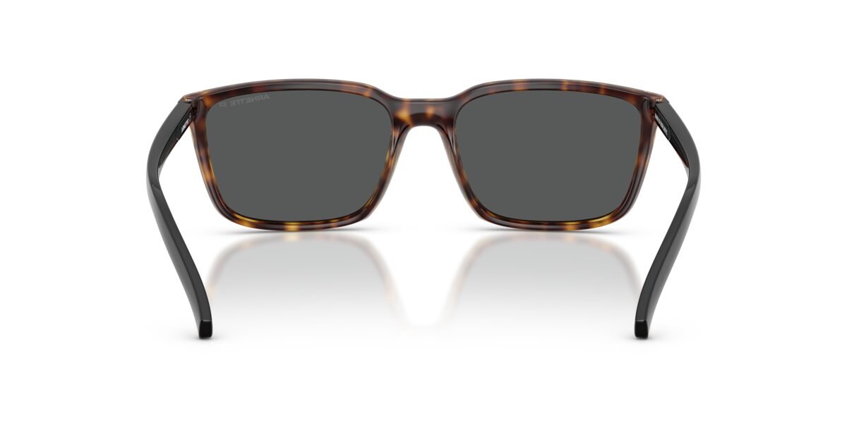 Arnette AN4311 AN4311 295681