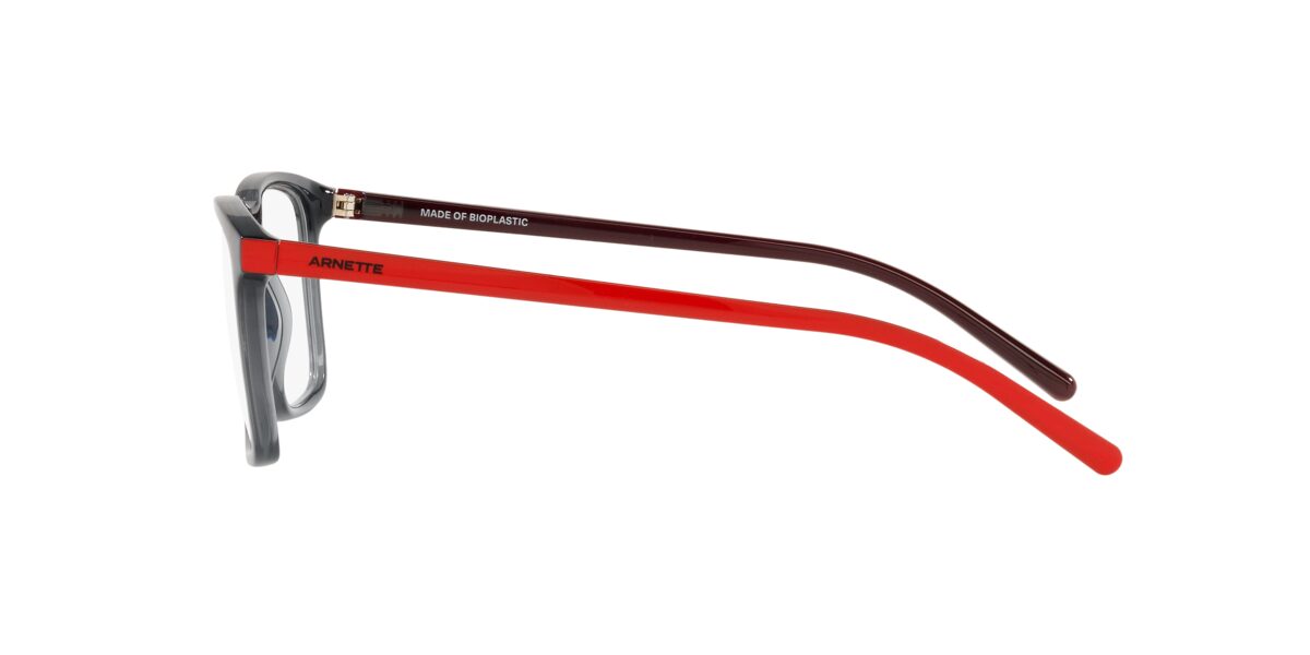 Arnette AN7209 FROGFACE 2800