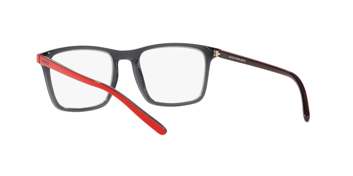 Arnette AN7209 FROGFACE 2800