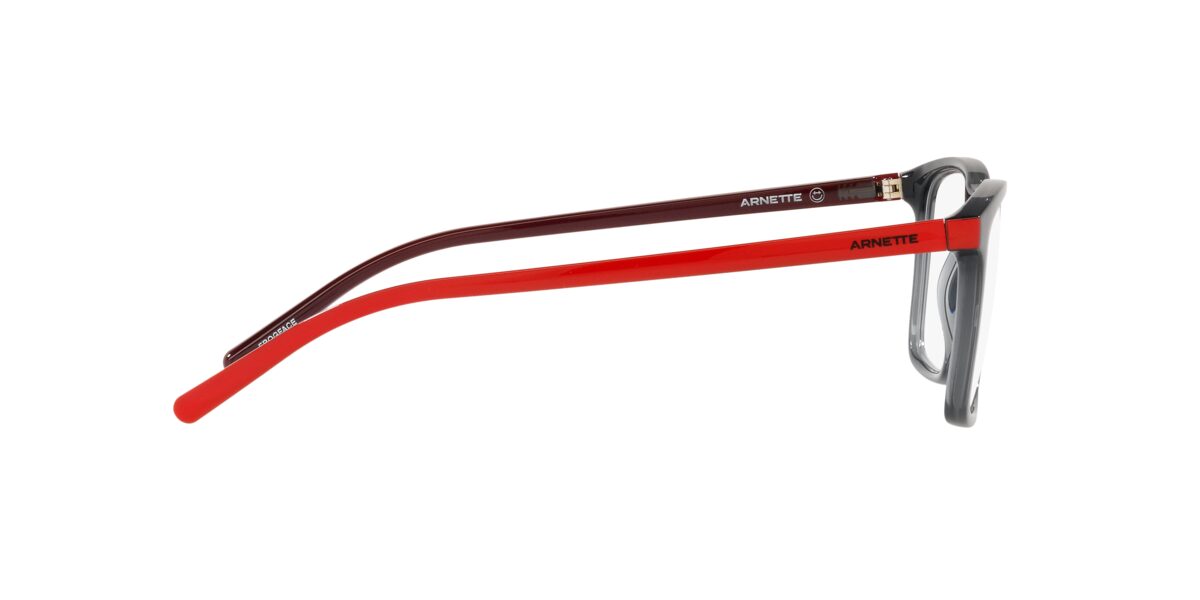 Arnette AN7209 FROGFACE 2800