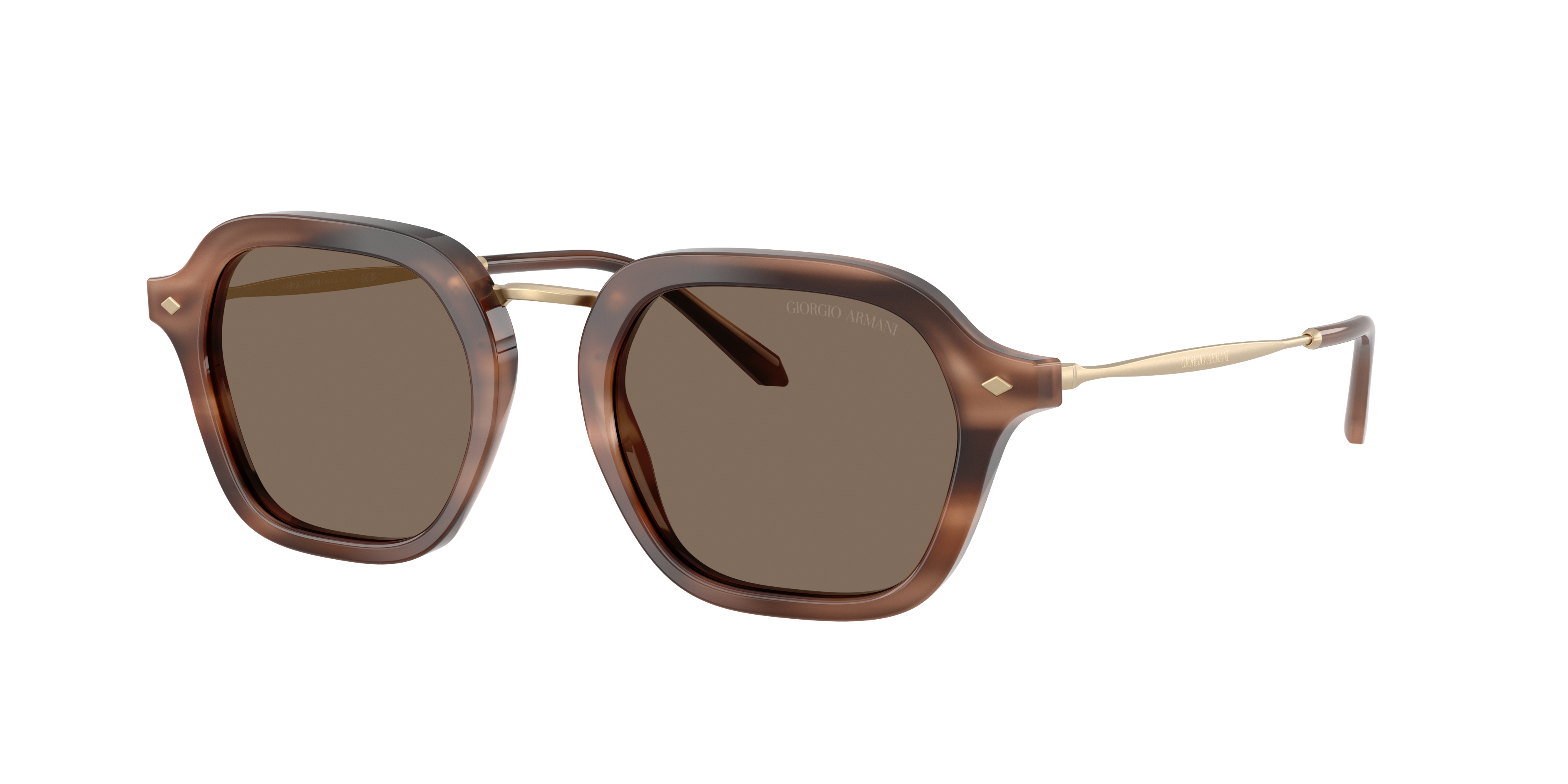 Giorgio Armani AR6190 646573
