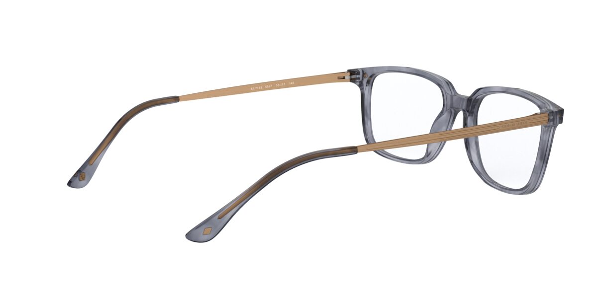 Giorgio Armani AR7183 5567