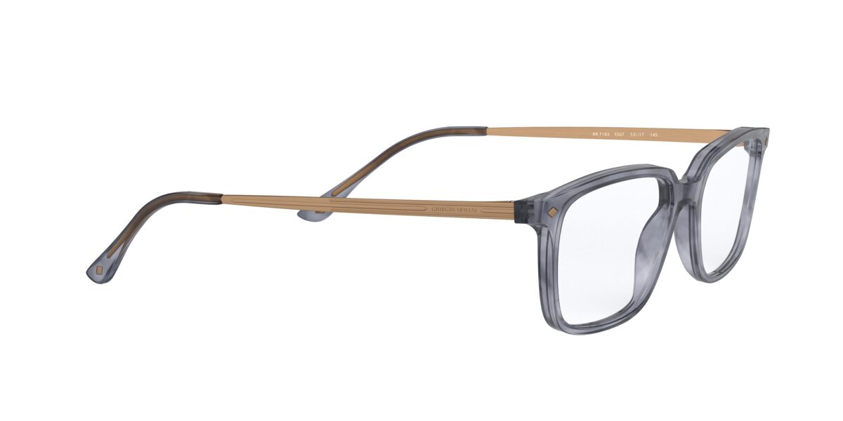 Giorgio Armani AR7183 5567