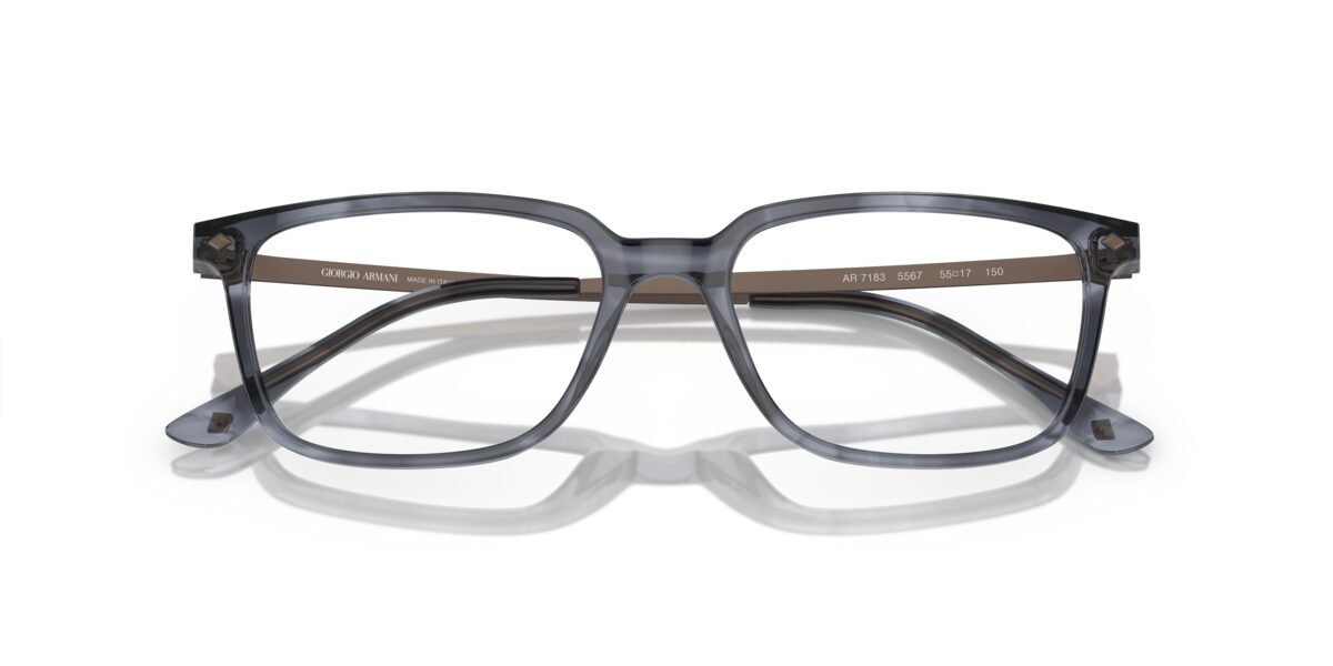 Giorgio Armani AR7183 5567