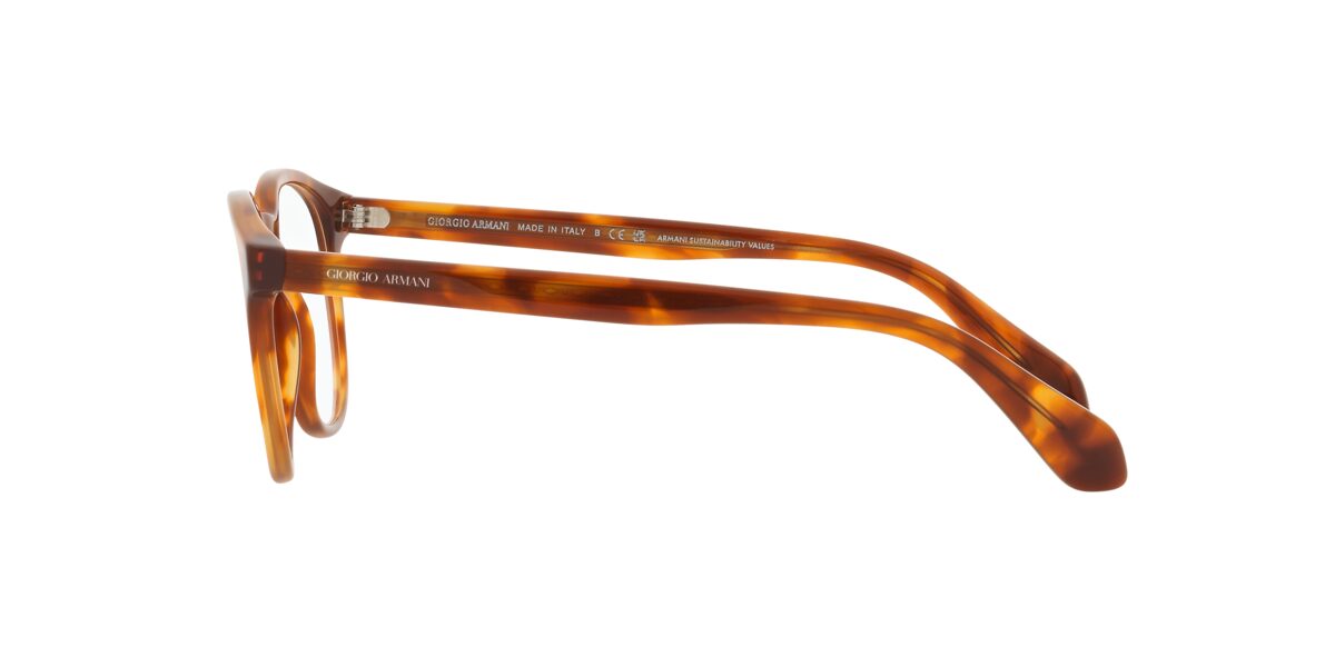 Giorgio Armani AR7216 5988