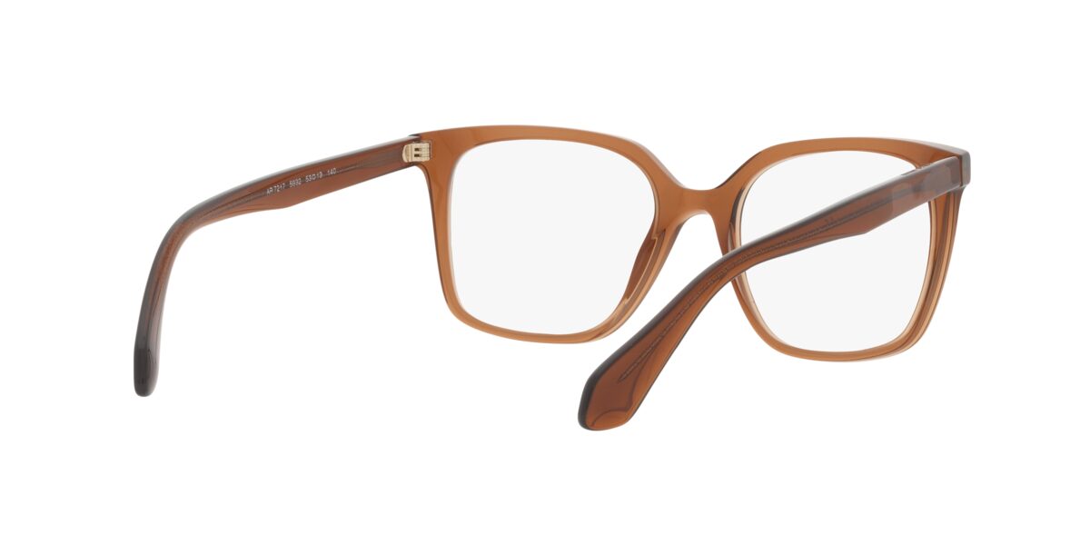 Giorgio Armani AR7217 5932