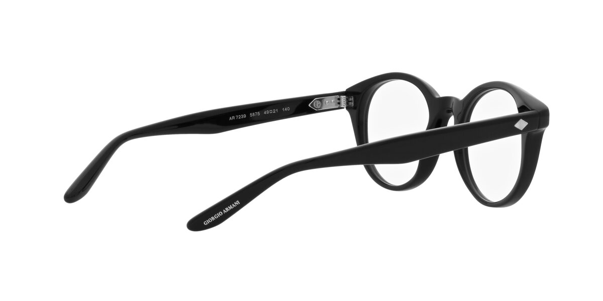 Giorgio Armani AR7239 5875