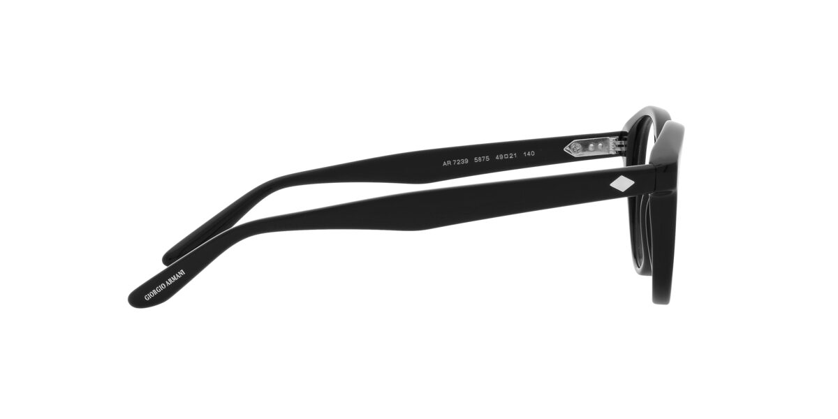 Giorgio Armani AR7239 5875