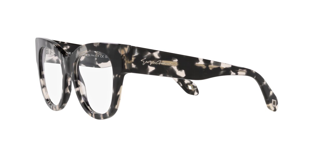 Giorgio Armani AR7241 5873