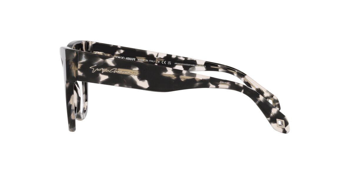 Giorgio Armani AR7241 5873