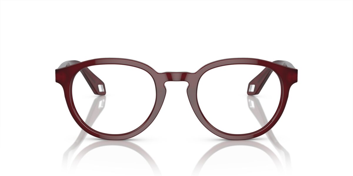 Giorgio Armani AR7248 6045
