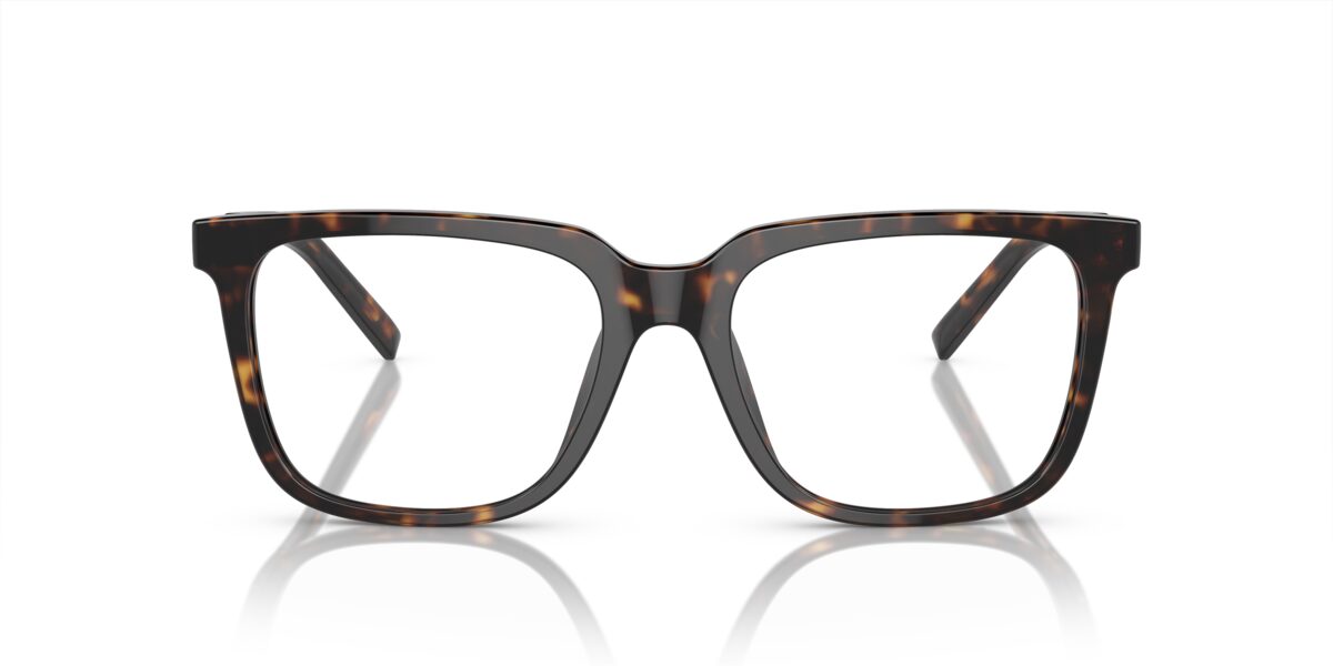 Giorgio Armani AR7252U 5879
