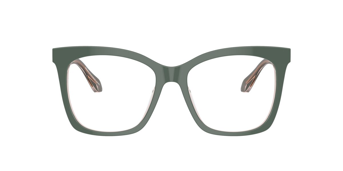 Giorgio Armani AR7254U 6076