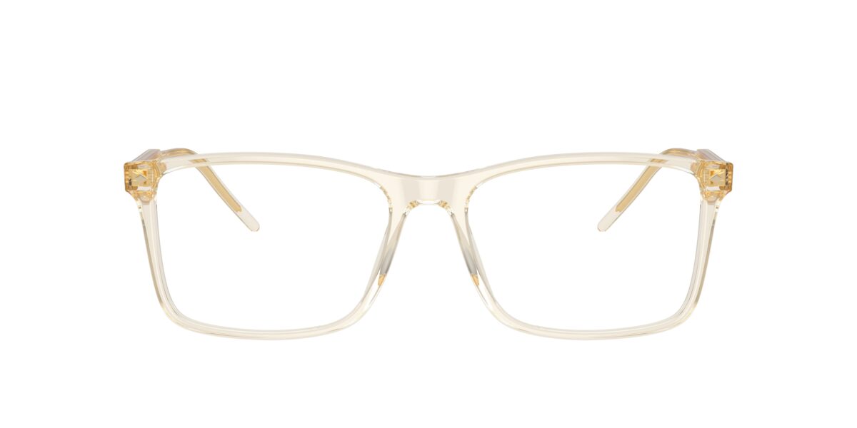 Giorgio Armani AR7258 6077
