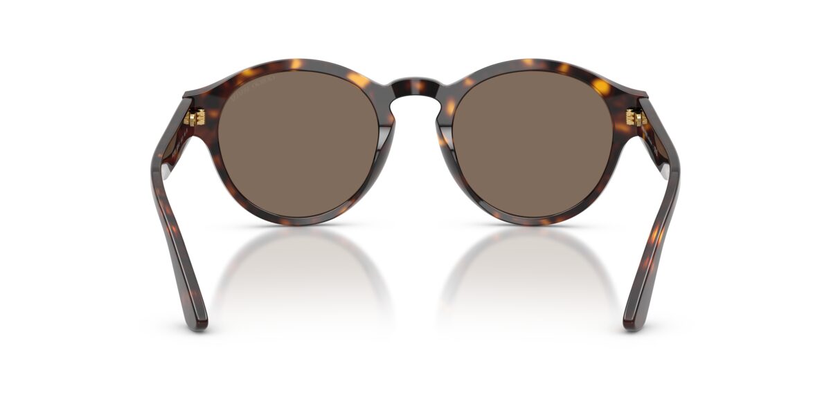Giorgio Armani AR8146 502673