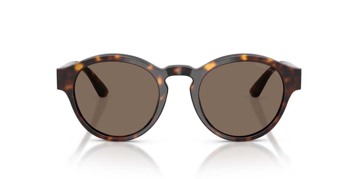 Giorgio Armani AR8146 502673