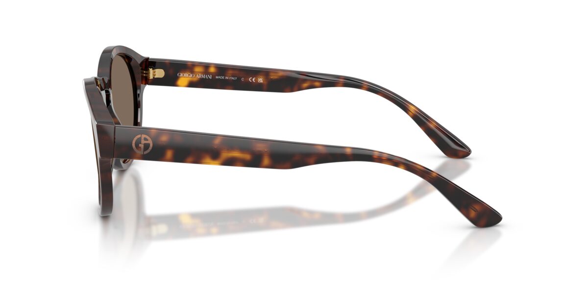 Giorgio Armani AR8146 502673