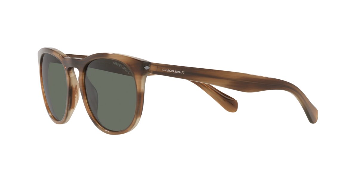 Giorgio Armani AR8149 590058