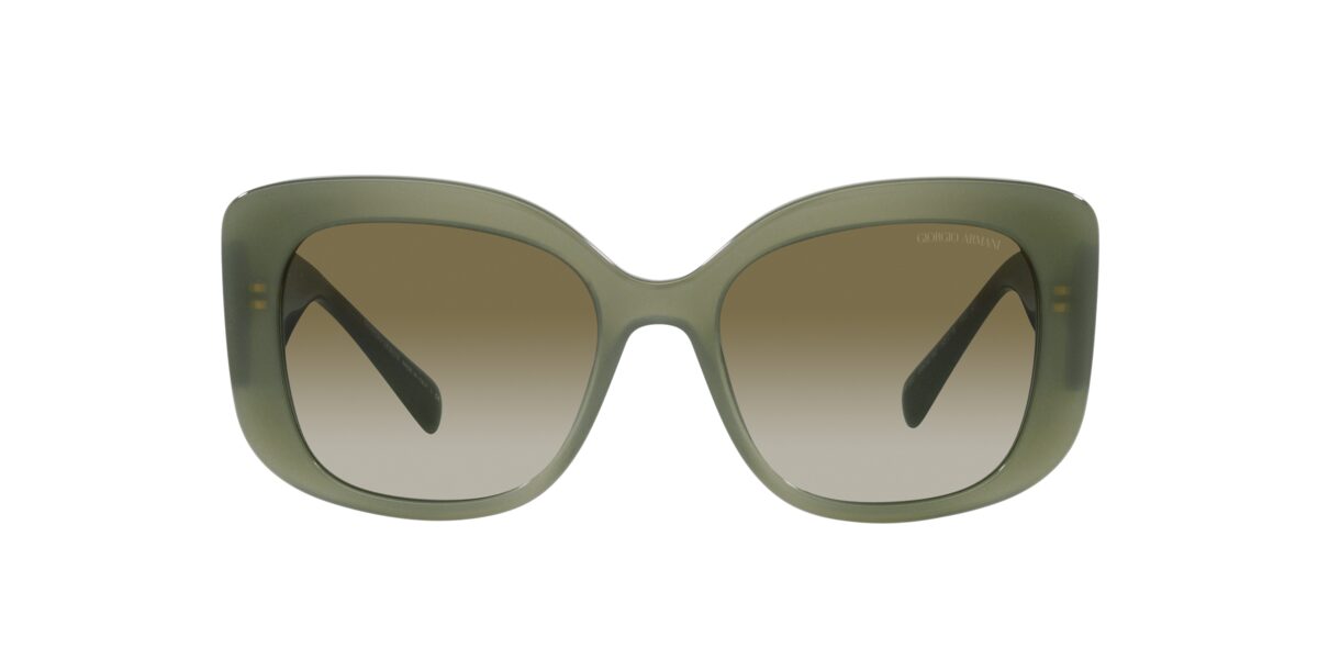 Giorgio Armani AR8150 59068E
