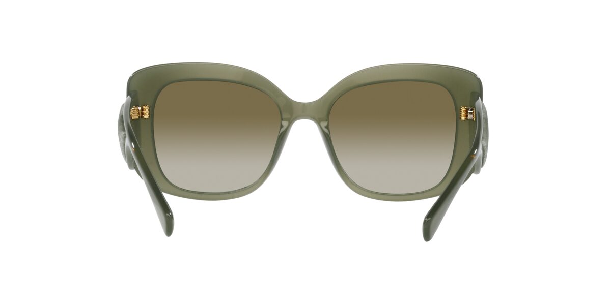 Giorgio Armani AR8150 59068E