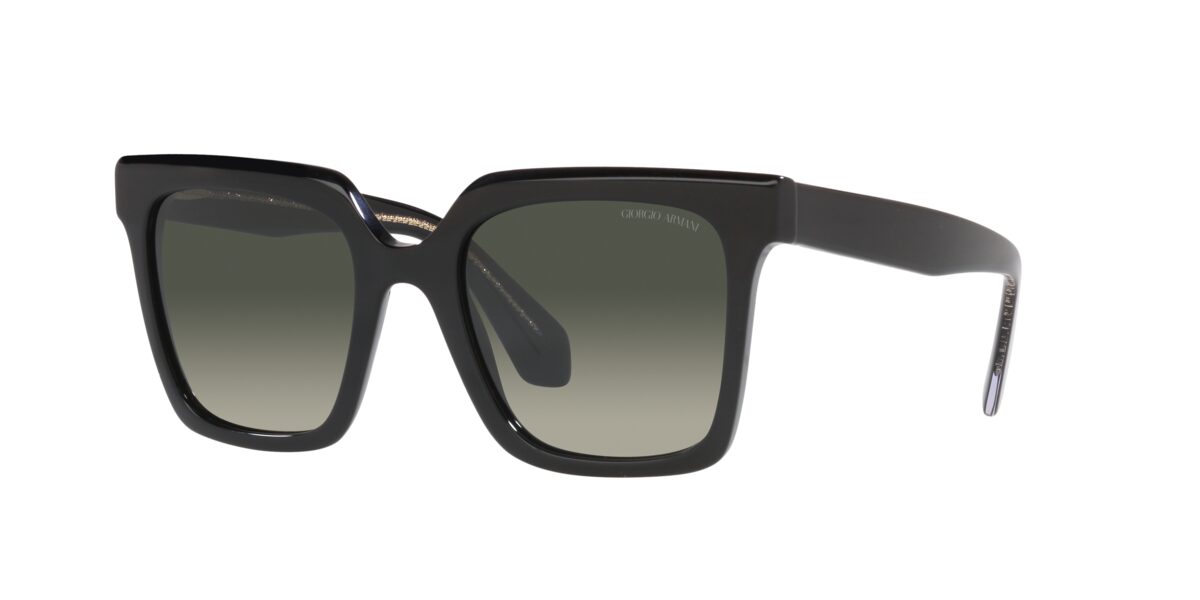Giorgio Armani AR8156 587571
