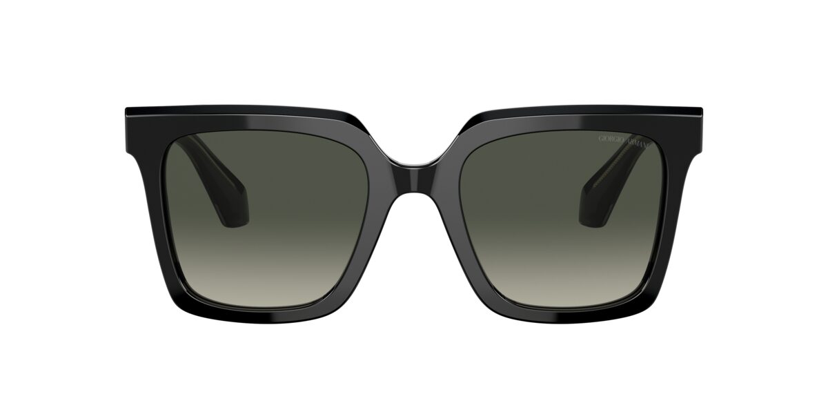 Giorgio Armani AR8156 587571