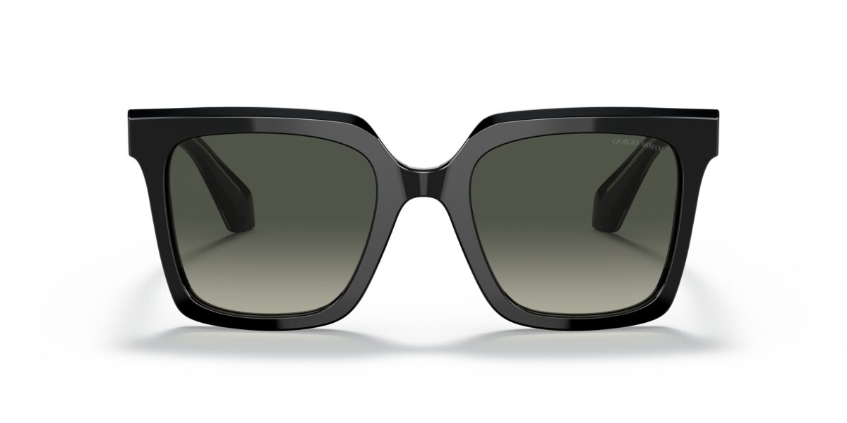 Giorgio Armani AR8156 587571