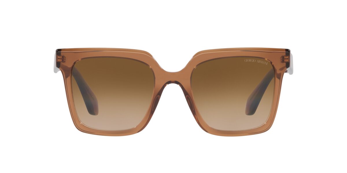Giorgio Armani AR8156 593251