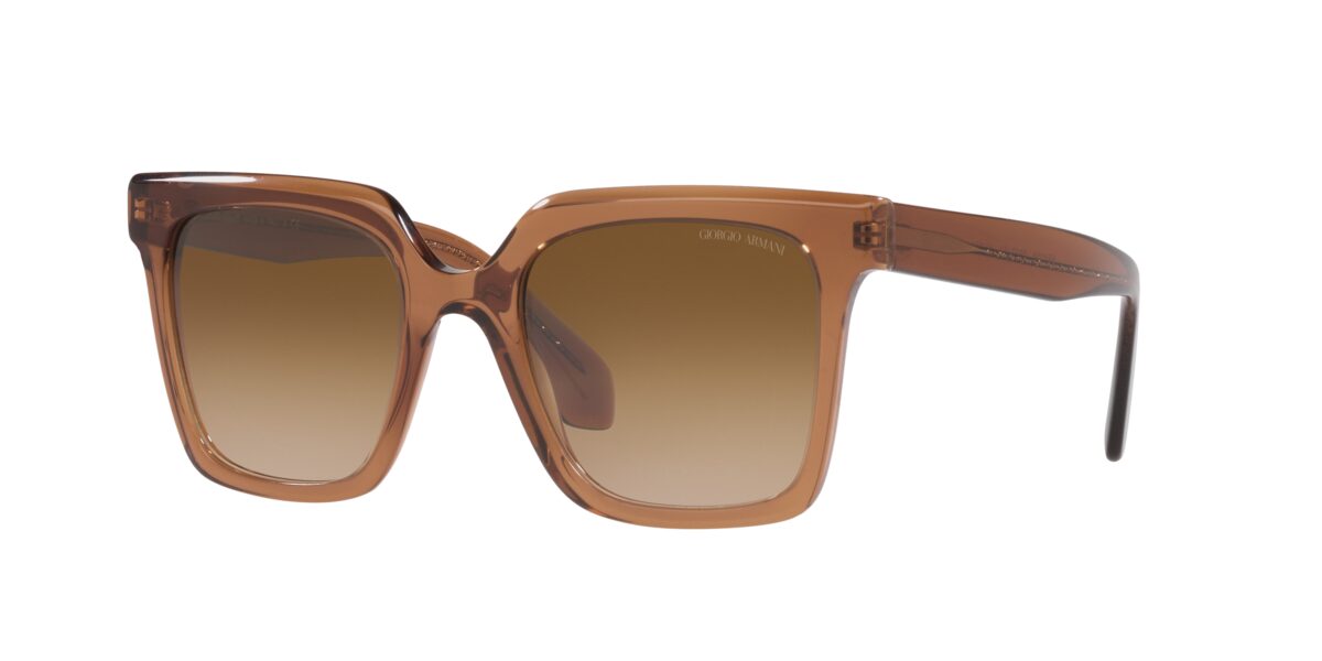 Giorgio Armani AR8156 593251