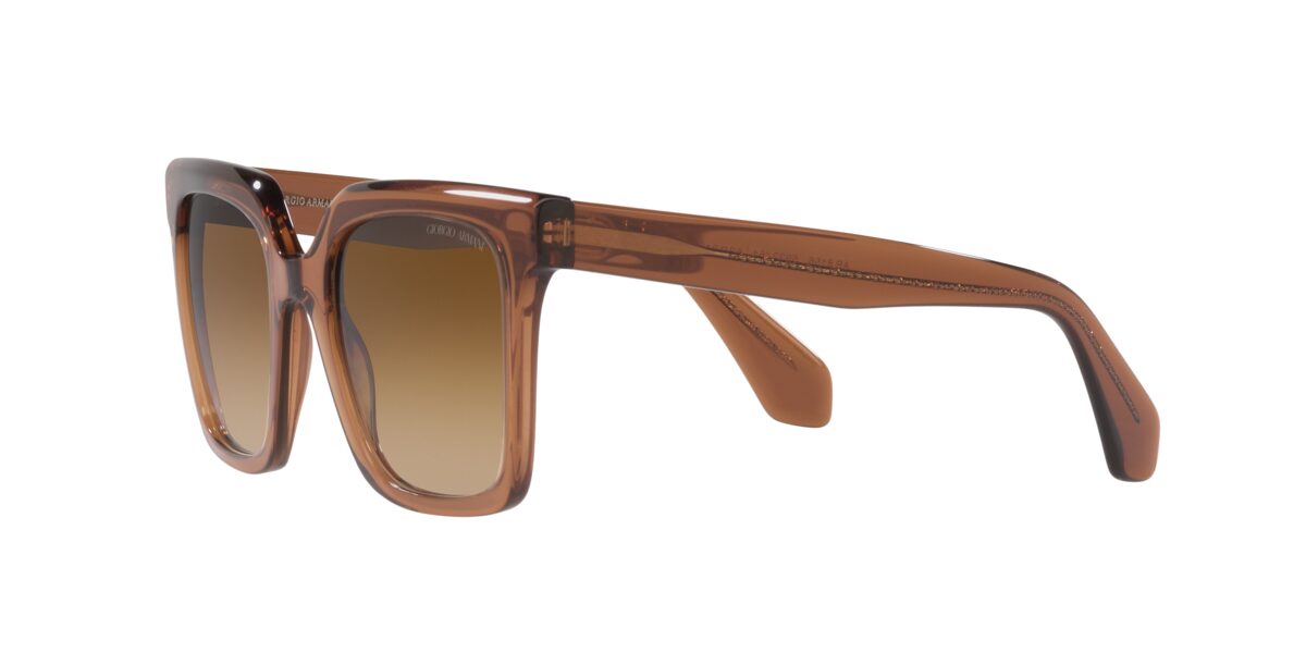 Giorgio Armani AR8156 593251
