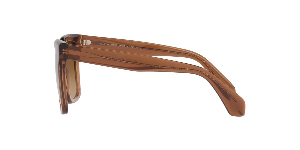 Giorgio Armani AR8156 593251