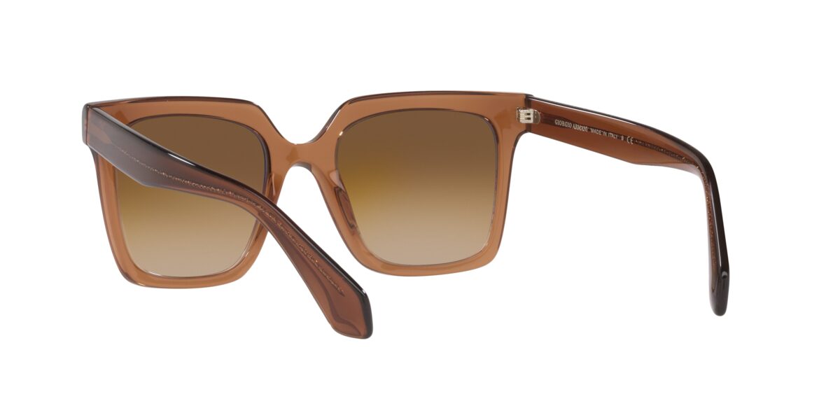 Giorgio Armani AR8156 593251