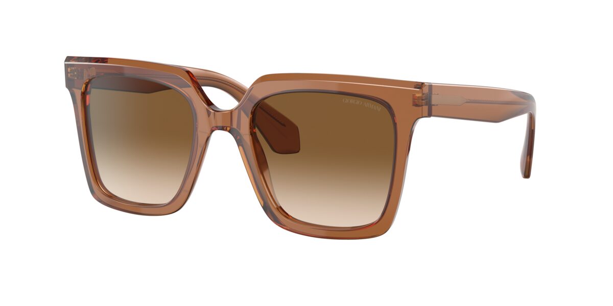Giorgio Armani AR8156 593251