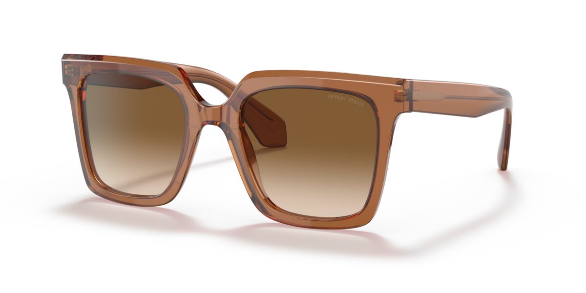 Giorgio Armani AR8156 593251