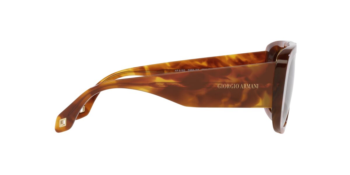 Giorgio Armani AR8183 598833